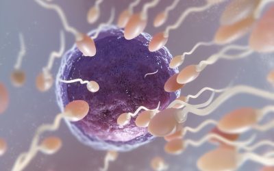 Latest Techniques in Male Infertility Diagnosis