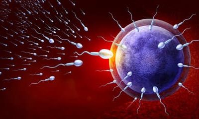 Why IVF fails. ?