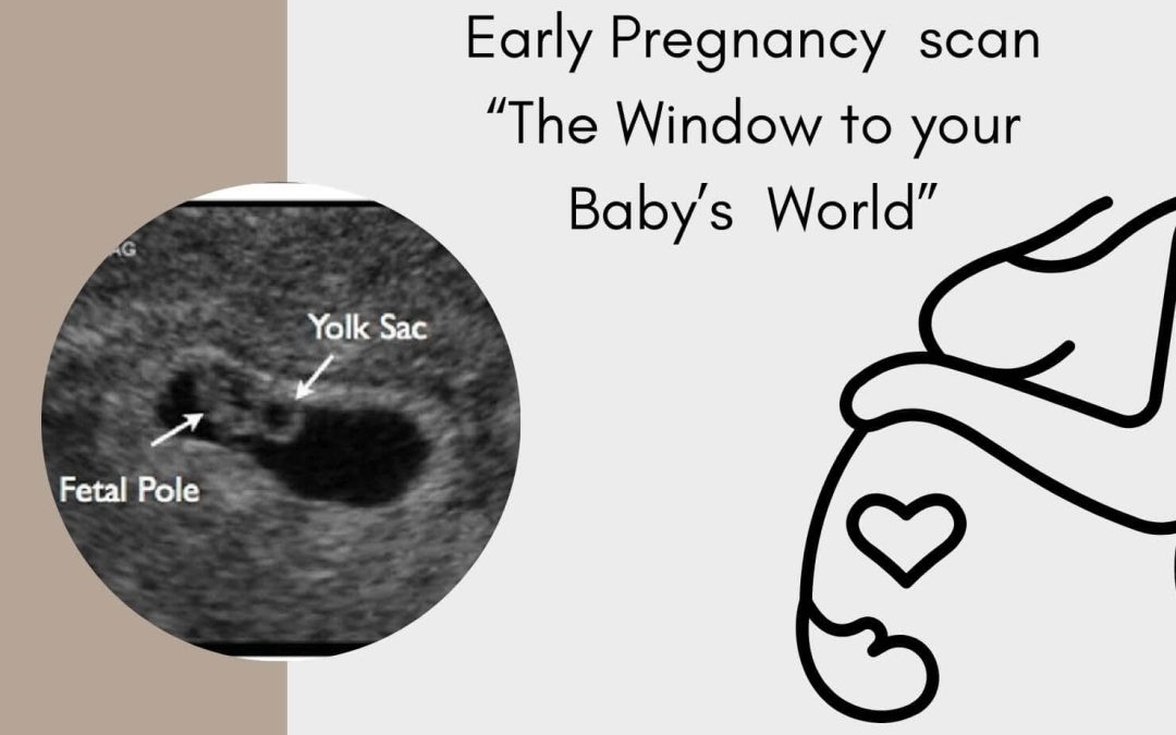 The Importance of Early Pregnancy Scans: Ensuring a Healthy Journey