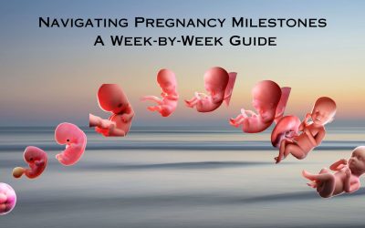 Navigating Pregnancy Milestones: A Week-by-Week Guide