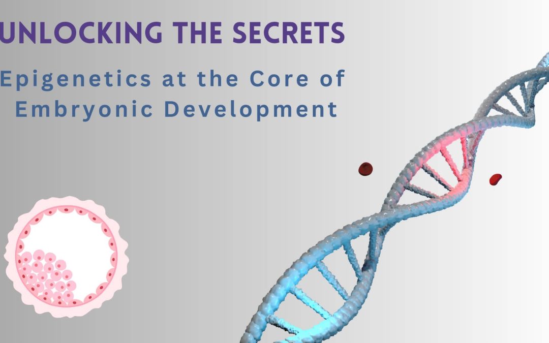 Unlocking the Secrets: Epigenetics at the Core of Embryonic Development