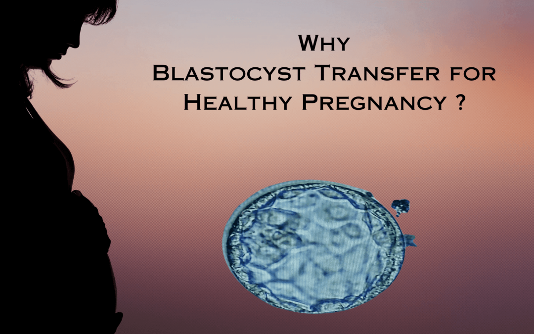 Why Blastocyst Transfer for Healthy Pregnancy