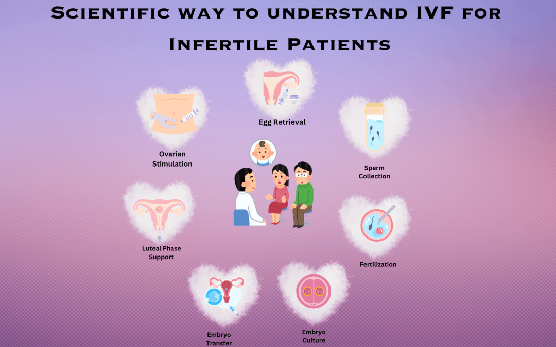 Scientific way to understand IVF for Infertile Patients