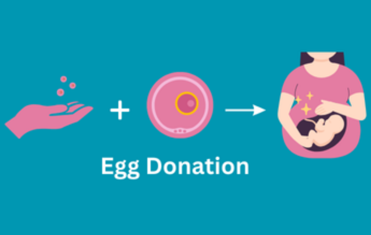 Egg Donation