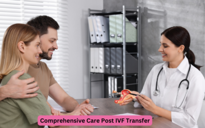 Comprehensive Care Post IVF Transfer