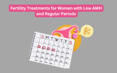 Fertility Treatments for Women with Low AMH and Regular Periods