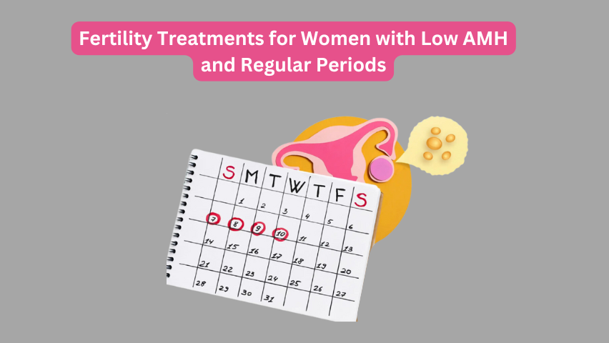 Fertility Treatments for Women with Low AMH and Regular Periods