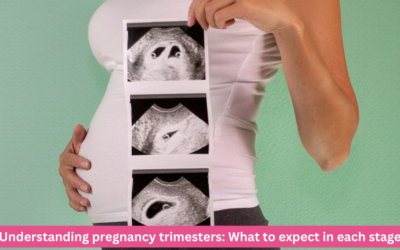 Understanding pregnancy trimesters: What to expect in each stage