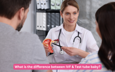 What is the difference between IVF & Test tube baby?