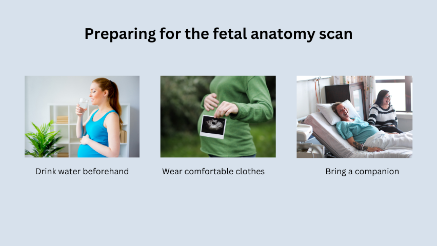 Preparing for the fetal anatomy scan