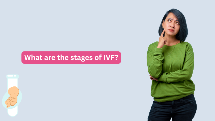 What are the stages of IVF?