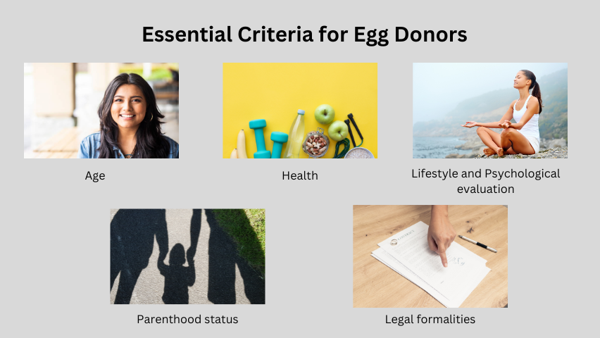 Egg Donors