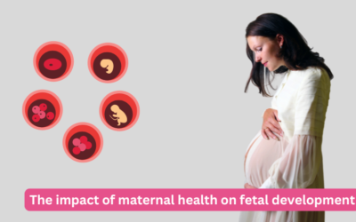 The impact of maternal health on fetal development