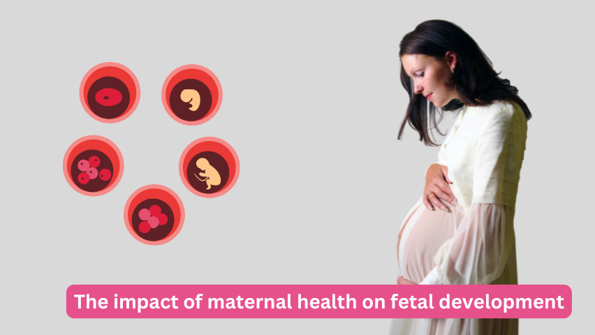 The impact of maternal health on fetal development