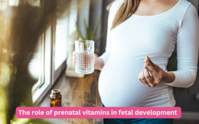 The role of prenatal vitamins in fetal development