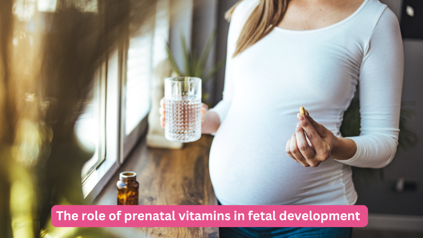 The role of prenatal vitamins in fetal development