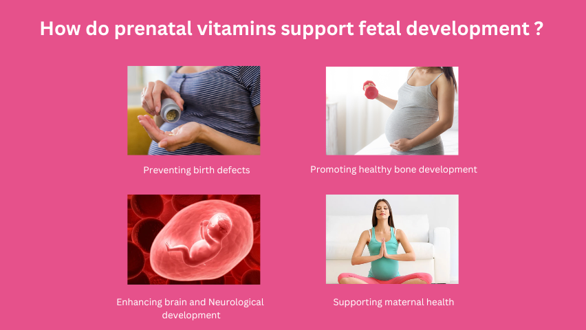 How do prenatal vitamins support fetal development ?<br />
