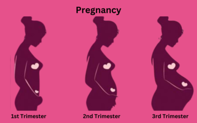 How does your body change during pregnancy?