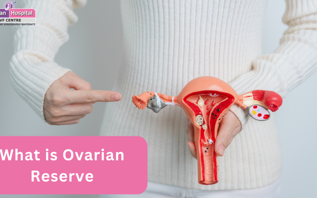 What is Ovarian Reserve? Why Does It Matter in IVF?